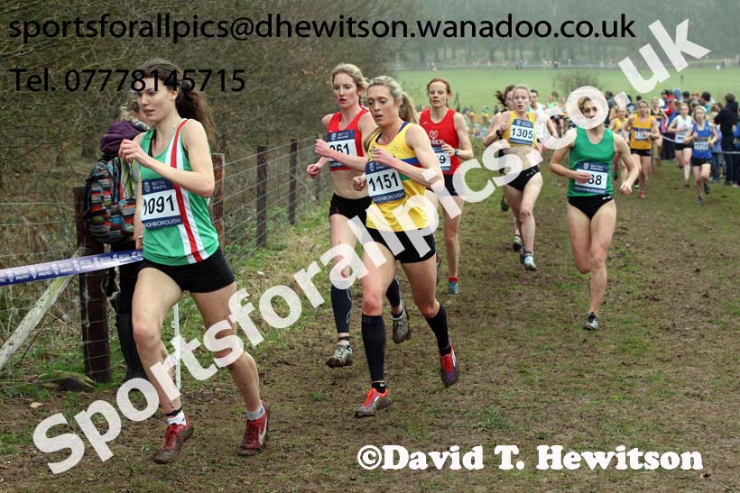Senior womens Inter Counties Cross Country, Prestwold Hall, Loughborough. Photo: David T. Hewitson/Sports for All Pics